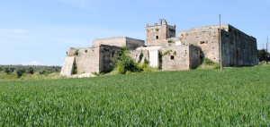 103 beni in concessione gratuita
