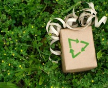 Green idee per la festa della Mamma: i consigli Green di Casa.it