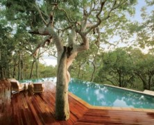 La casa intorno all’albero