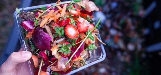 compostiera sul balcone