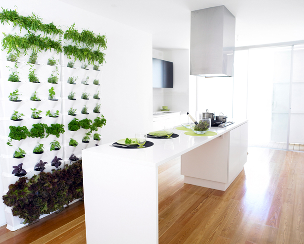 Giardini verticali domestici: lorto da cucina casa.it Giardini verticali in casa