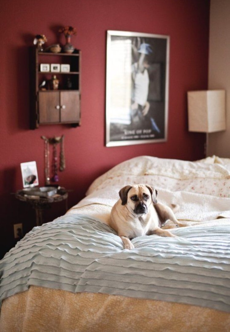 Abbinamenti Colori Per Pareti Di Casa