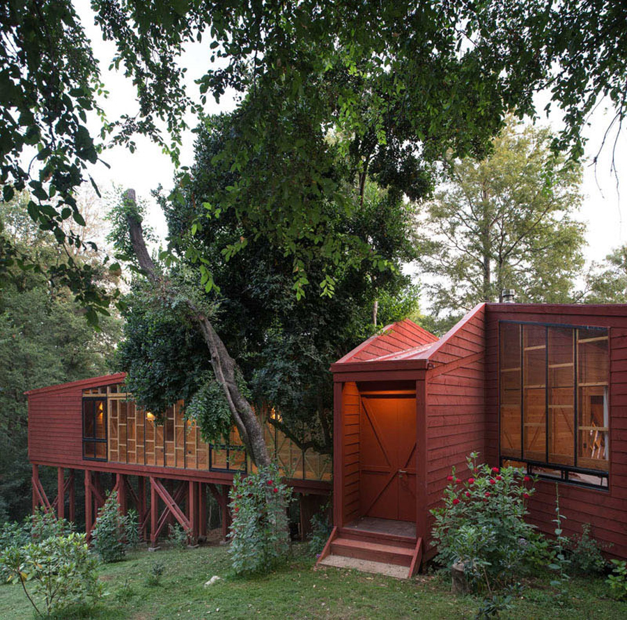 casa-foresta-cile_05