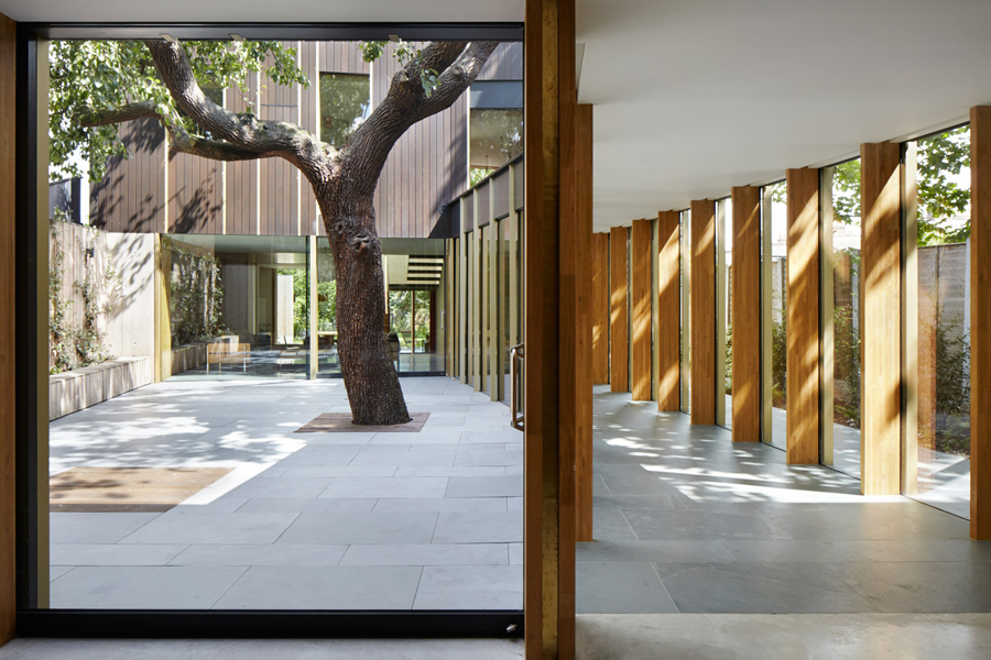 londra-casa-albero-colonnato3