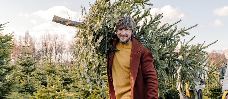 albero di natale naturale o artificiale