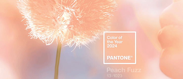 colore Pantone del 2024 Peach Fuzz