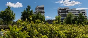 Depavimentazione: città più verdi