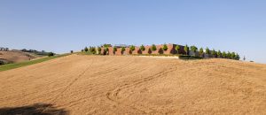Mancini Pastificio Agricolo